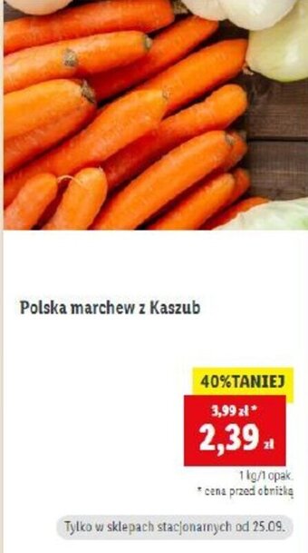 Lidl Polska marchew z Kaszub 1 kg oferta