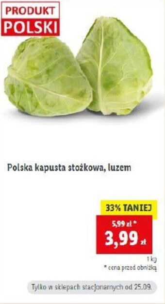 Lidl Polska kapusta stożkowa, luzem 1 kg oferta