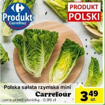 Carrefour Polska sałata rzymska mini Carrefour 1 szt. oferta