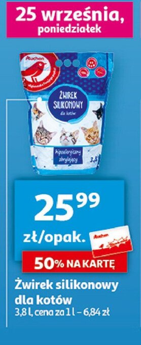 Auchan Żwirek silikonowy oferta