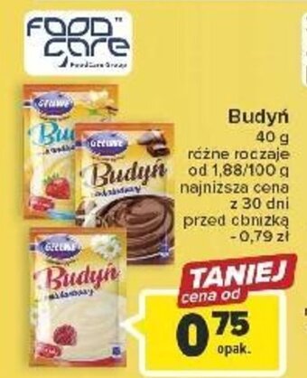 Carrefour Food Care Budyń 40g oferta