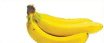 E.Leclerc Banany oferta
