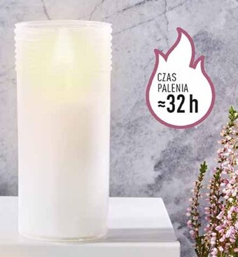 Biedronka Wkład parafinowy oferta