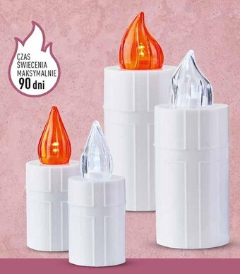 Biedronka Wkład led do zniczy oferta