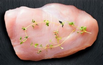 Lidl Filet z piersi indyka rzeźnik oferta