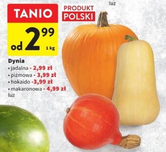 Intermarche Dynia jadalna 1 kg oferta