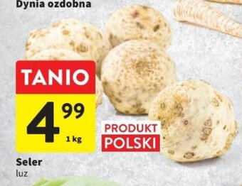 Intermarche Seler luz 1 kg oferta