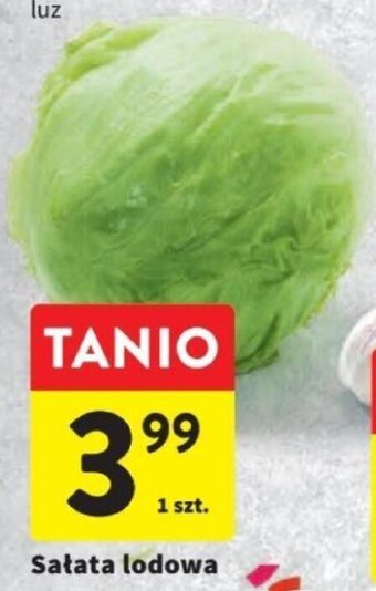 Intermarche Sałata lodowa 1 szt. oferta