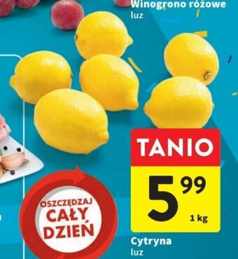 Intermarche Cytryna luz 1 kg oferta