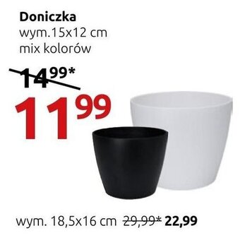 Black Red White Doniczka wym.15x12 cm oferta