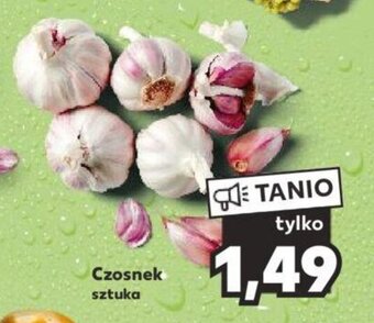 Kaufland Czosnek sztuka oferta