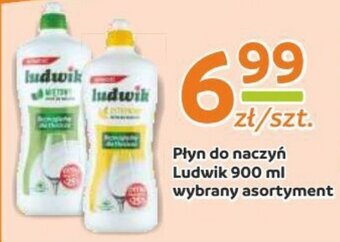 Gama Płyn do naczyń Ludwik 900 ml oferta