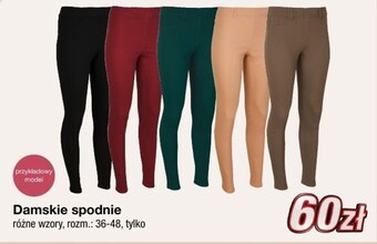 KiK Spodnie damskie oferta