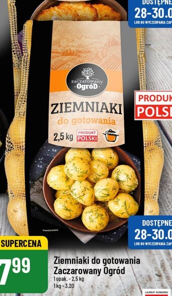 Polomarket Ziemniaki zaczarowany ogród oferta