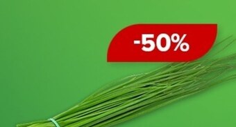 Barbora Szczypiorek oferta