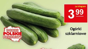 Gram Market Ogórki szklarniowe 1kg oferta