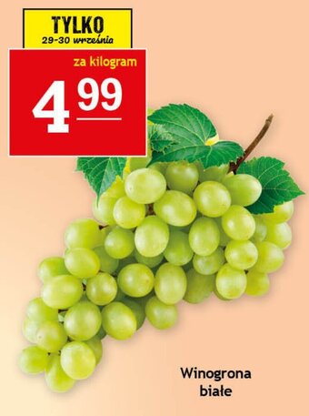 Gram Market Winogrona białe 1kg oferta
