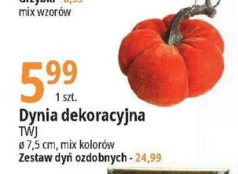 E.Leclerc Dynia dekoracyjna 7.5 cm oferta