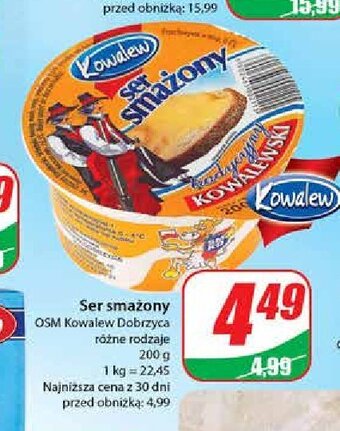 Dino Ser smażony oferta