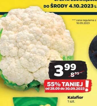 Netto Kalafior oferta