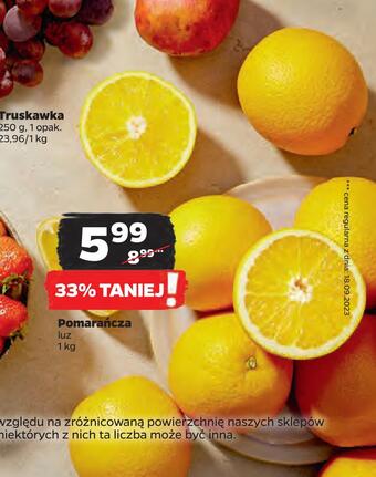 Netto Pomarańcza oferta