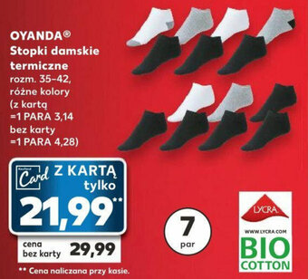Kaufland OYANDA Stopki damskie termiczne 7 par oferta