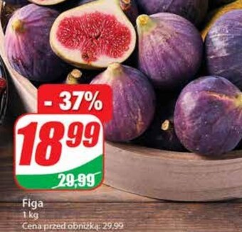 Dino Figa oferta