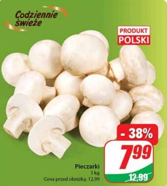 Dino Pieczarki oferta