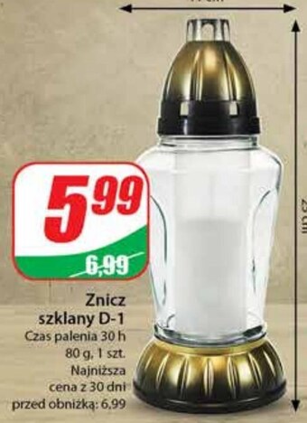 Dino Znicz oferta