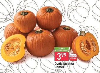 Stokrotka Market Dynia oferta