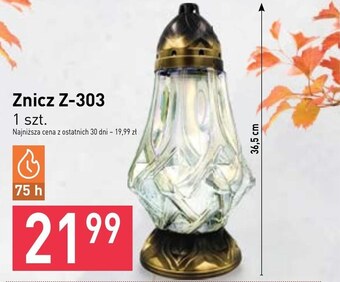 Stokrotka Market Znicz oferta