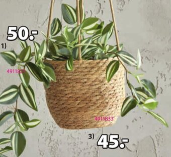 JYSK ROŚLINA SZTUCZNA ASGAR oferta