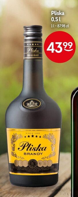 Żabka Brandy oferta