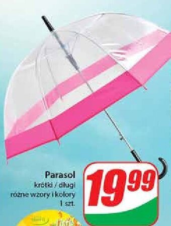 Dino Parasol krótki oferta