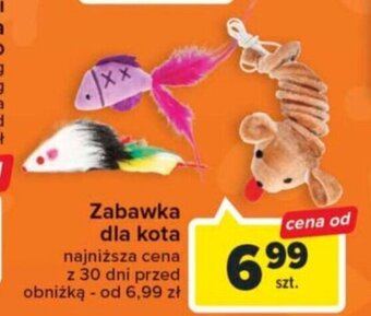 Carrefour Market Zabawka dla kota oferta