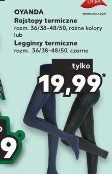 Kaufland Legginsy termiczne 36-50 oferta