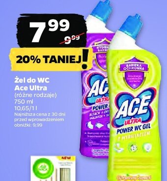 Netto Żel różowy oferta