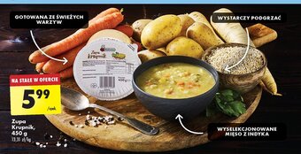 Biedronka Krupnik oferta