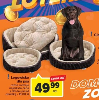 Carrefour Market Legowisko dla psa oferta