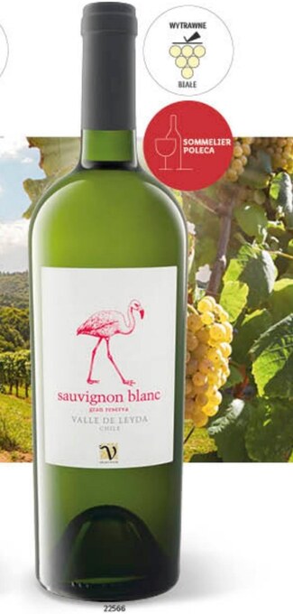 Lidl Wino sauvignon oferta