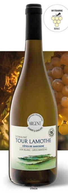 Lidl Wino tour lamothe oferta