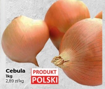 Cebula
