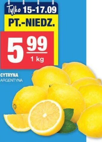 EuroSPAR CYTRYNA ARGENTYNA 1 kg oferta