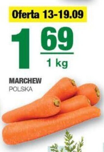 EuroSPAR MARCHEW POLSKA 1 kg oferta