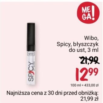 Rossmann Wibo, Spicy, błyszczyk do ust, 3 ml oferta