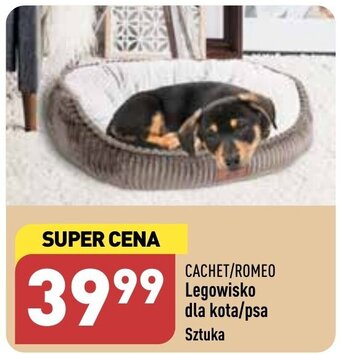 ALDI CACHET/ROMEO Legowisko dla kota/psa oferta