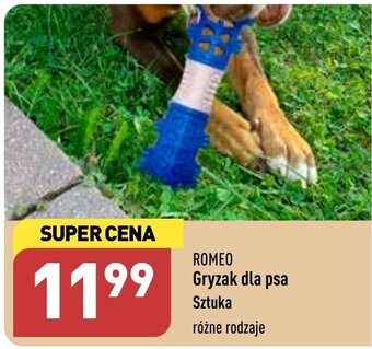 ALDI ROMEO Gryzak dla psa oferta