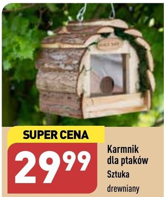 Karmnik dla ptaków