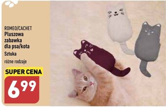 ALDI ROMEO/CACHET Pluszowa zabawka dla psa/kota oferta