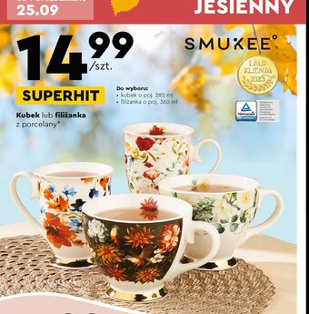 Biedronka Kubek 285 ml oferta